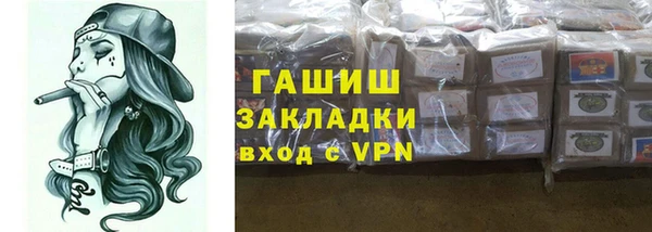 индика Алзамай