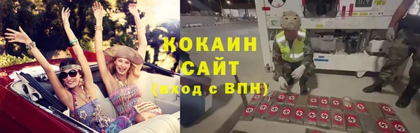 индика Алзамай